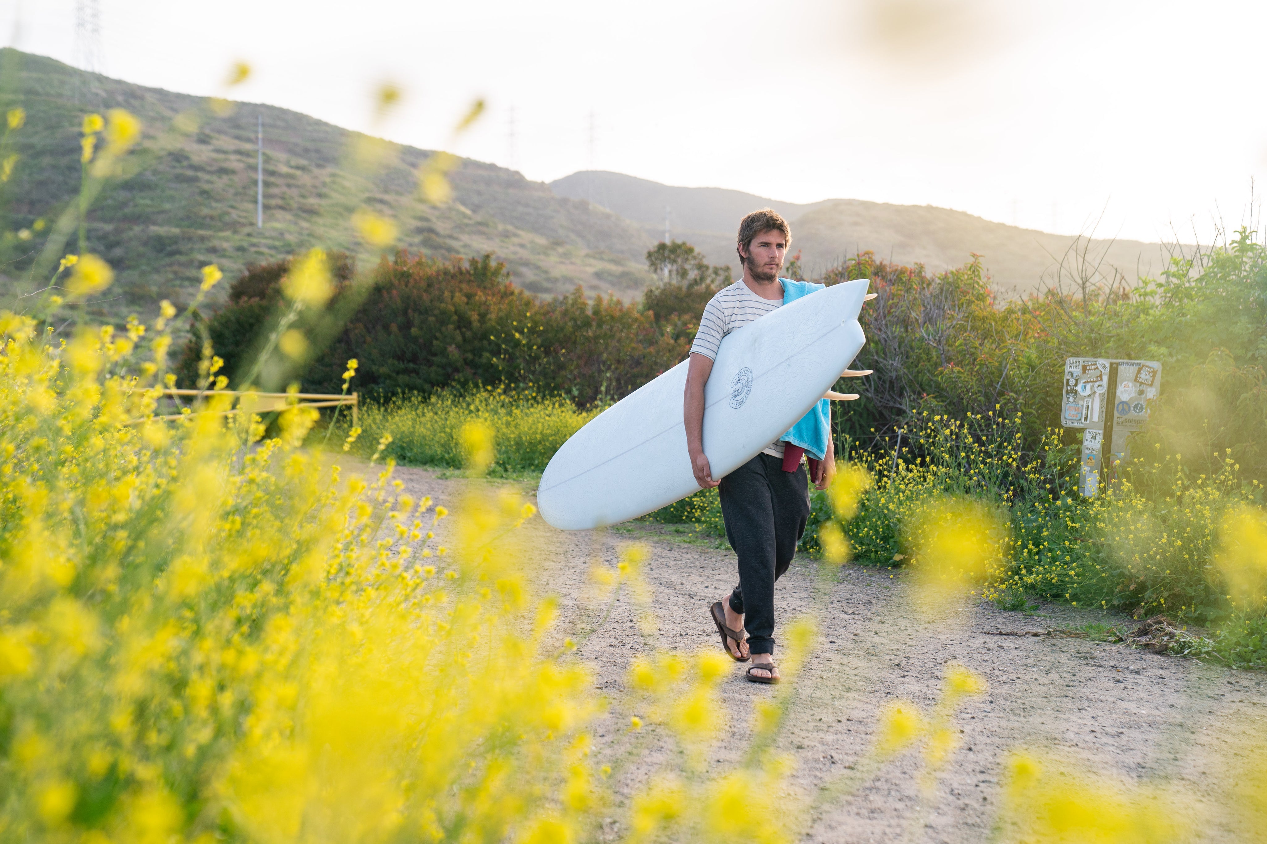 8'2" Kookapinto Fishy Noserider Mango Resin Tint (Poly)
