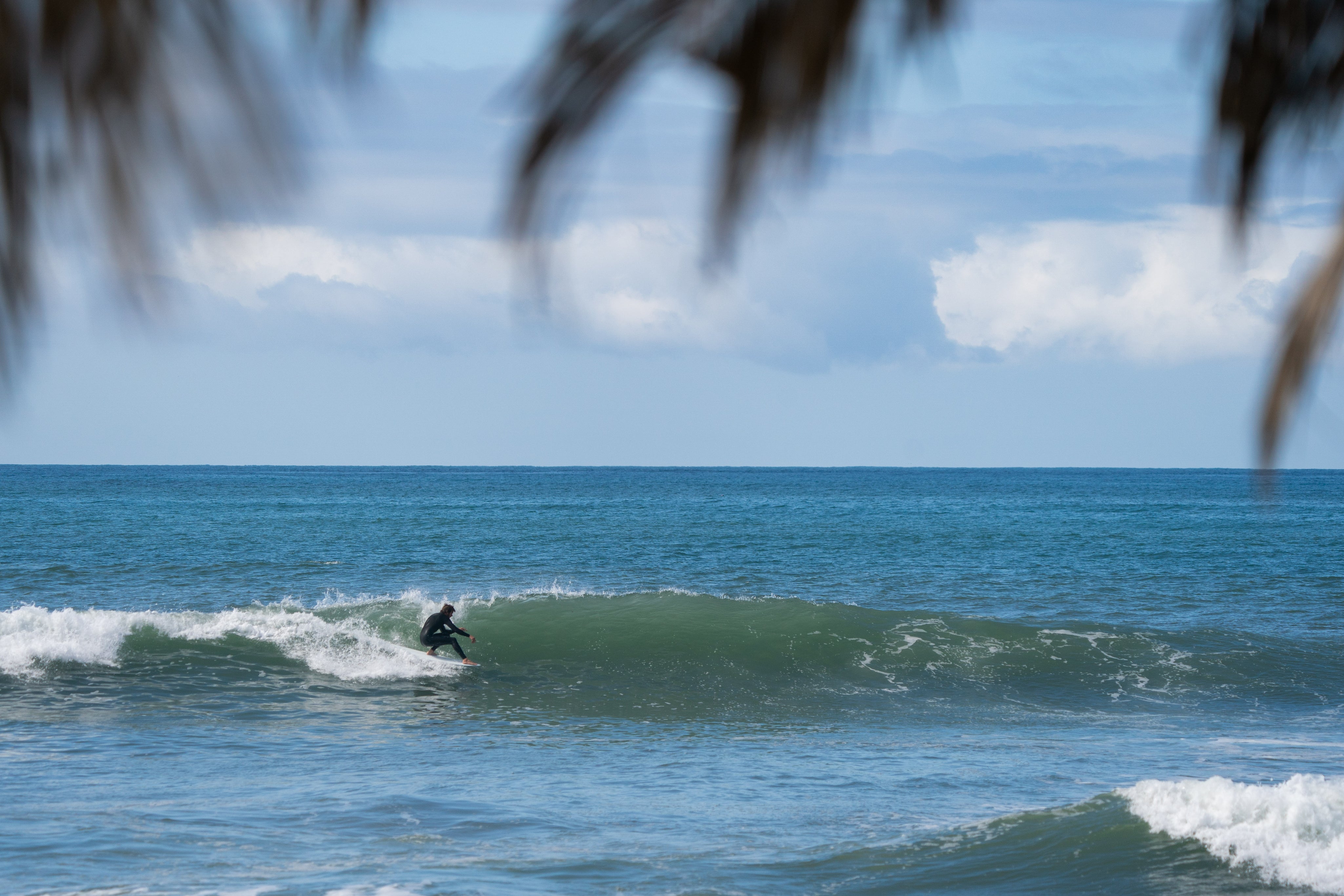 8'2" Kookapinto Fishy Noserider Mango Resin Tint (Poly)